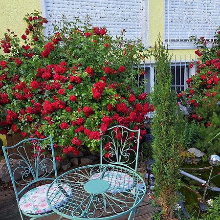 Nensi Apartment Ehekirchen Bagian luar foto